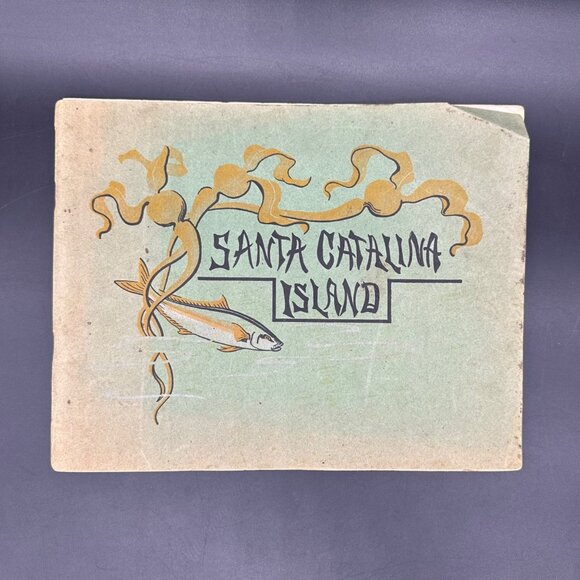 Antique 1905 Santa Catalina Island California Booklet Photographs Black White - Picture 2 of 16